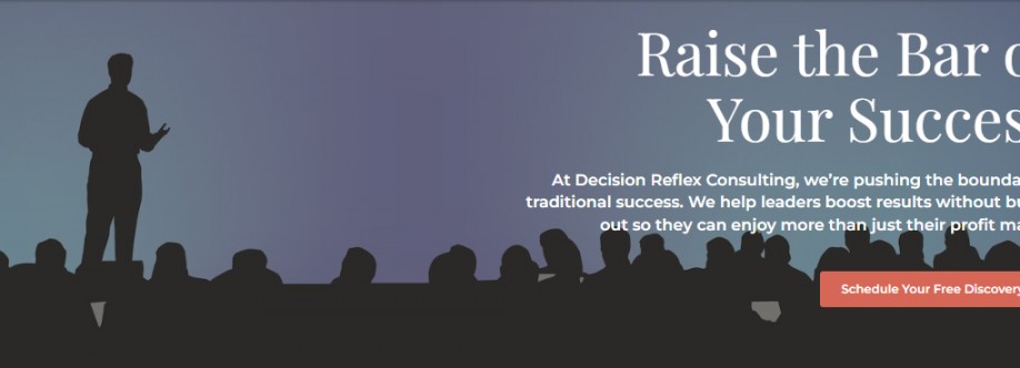 decisionreflex consulting Cover Image
