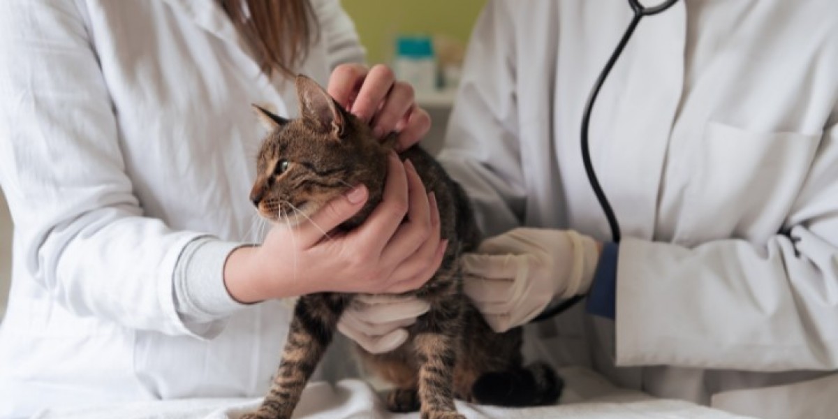 Perspectivas del Mercado de Sanidad Animal: Crecimiento, Innovaciones y Oportunidades 2025-2034