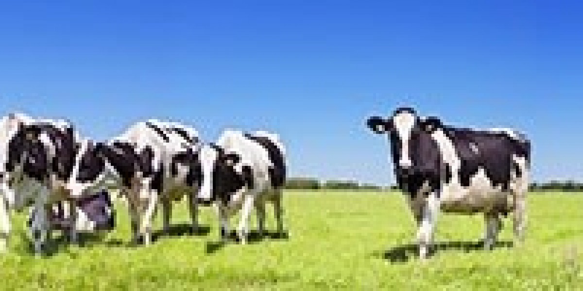 The Transformative AI Impact on Livestock Identification Market: Revolutionizing Agriculture