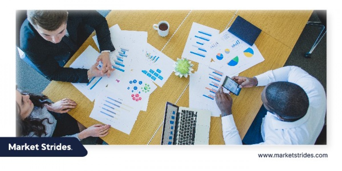 Why Is Ultralight and Light Aircraft Market's Future Looking More Promising Than Ever?