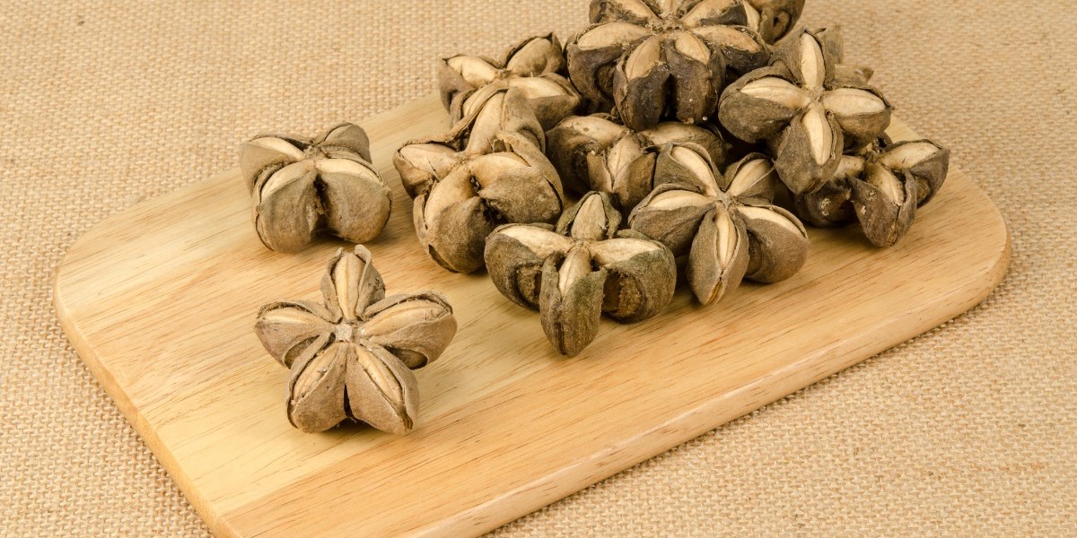 El auge del mercado de Sacha Inchi: crecimiento, tendencias y oportunidades futuras