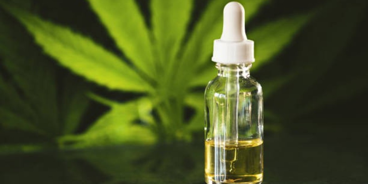CBD Poitiers : pourquoi le cannabidiol séduit autant la Vienne ?