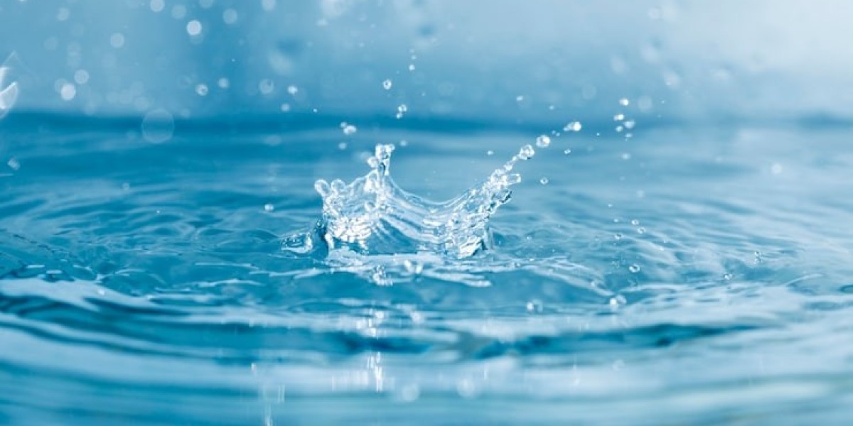 Why Diatomaceous Earth is the Best Natural Solution for Ant Infestations