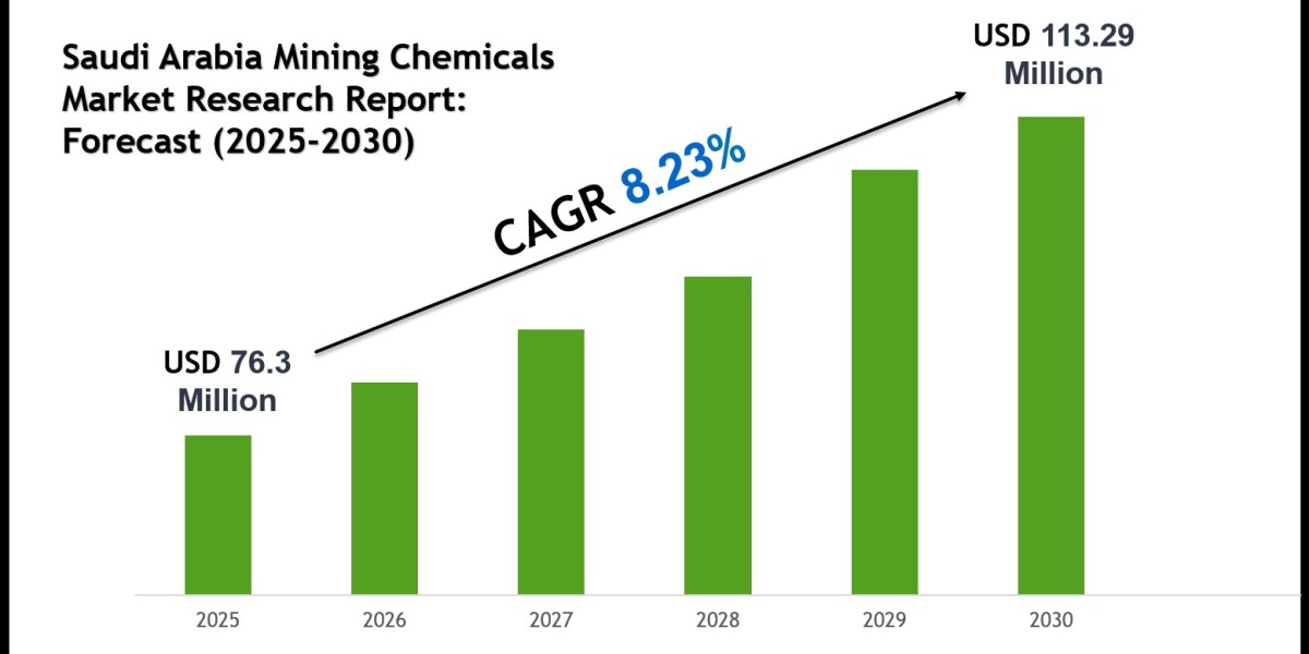Saudi Arabia Mining Chemicals Market Forecast 2030: Key Players & Emerging Trends