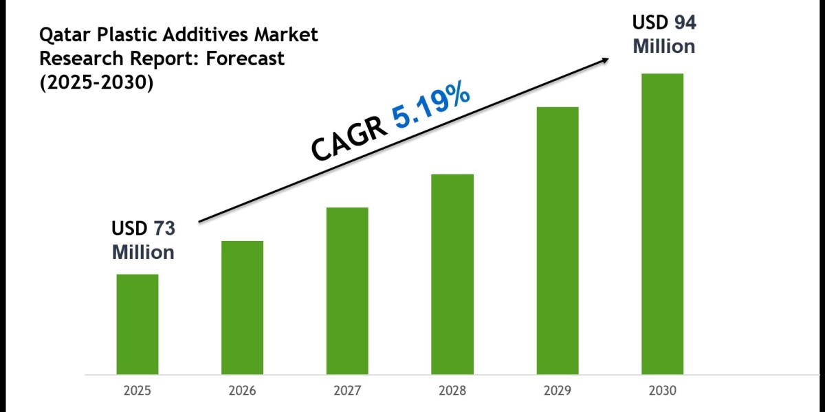 Qatar Plastic Additives Market Outlook 2030: Leading Companies & Share Insights