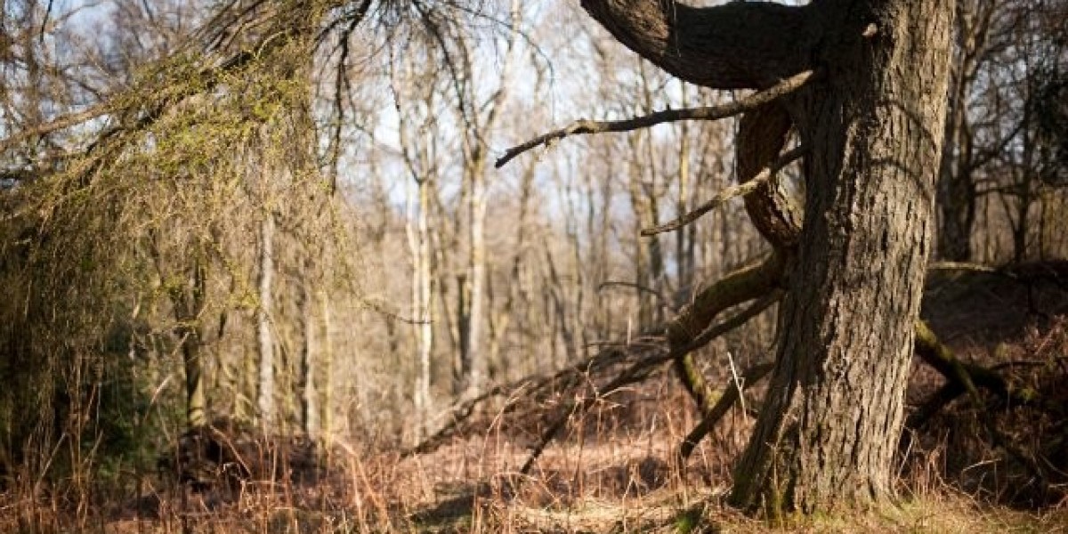 The Dangers Of Mixing Alcohol With Steroids