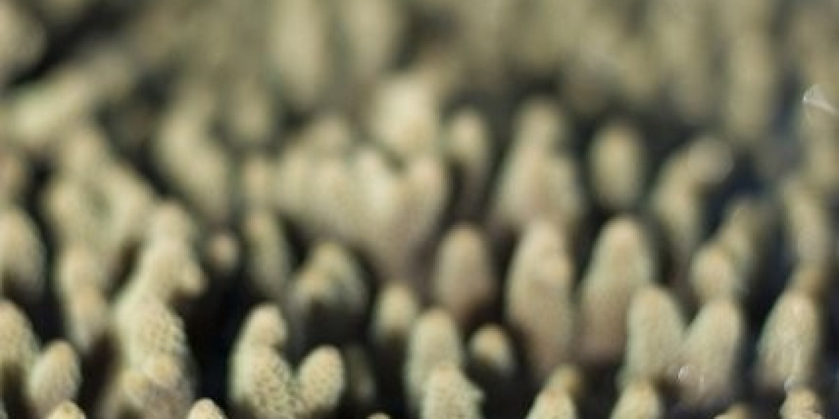 Anabolic Steroids: Uses, Side Effects, And Alternatives