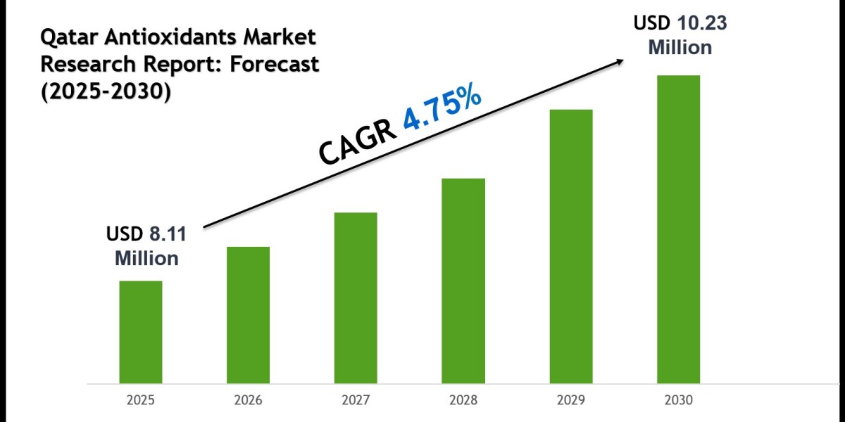 Qatar Antioxidants Market Outlook 2030: Leading Companies & Share Insights