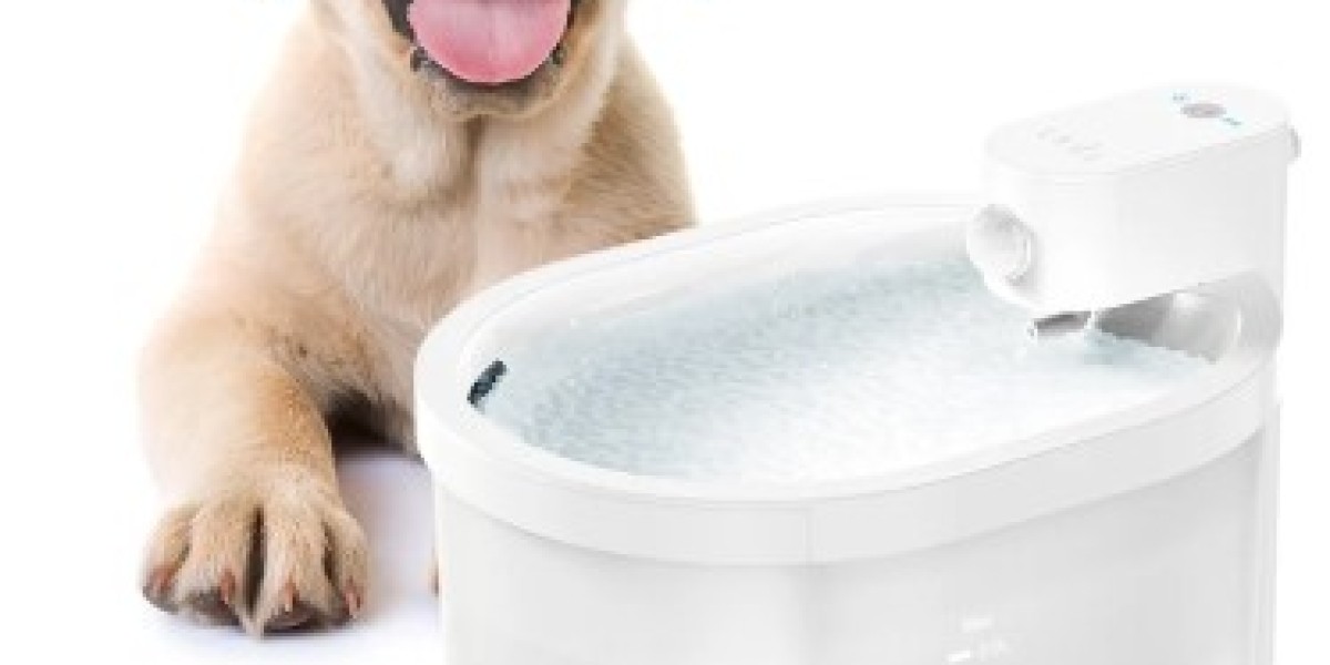 What Makes Pawtechpet Intelligent Pet Water Dispenser Stand Out in Smart Homes