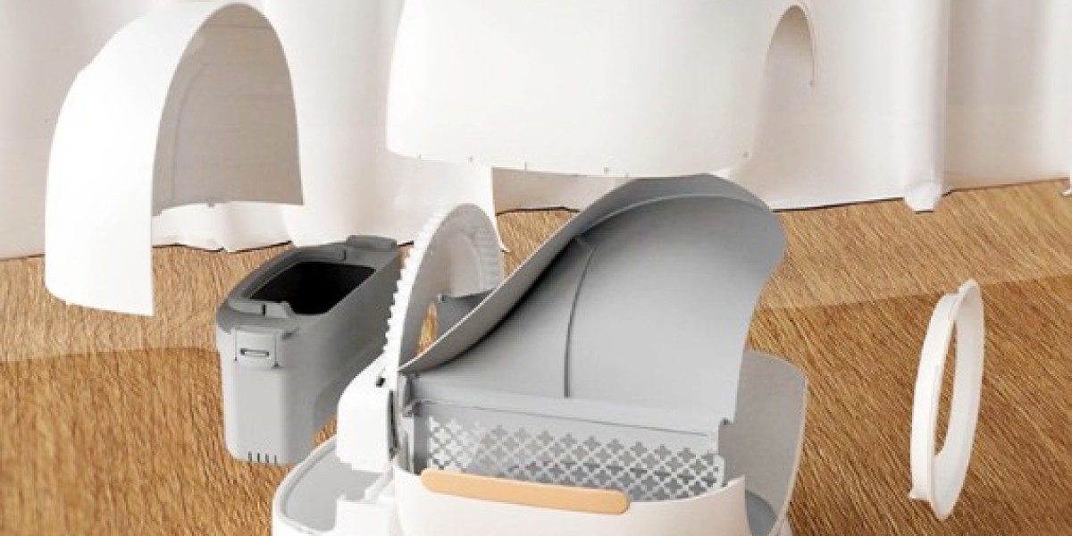 Pawtechpet Cat Litter Box Automatic Cleaning and the Future of Indoor Care
