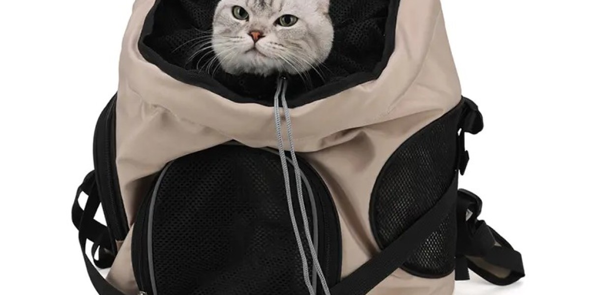 User-Friendly Pet Carriers for Modern Pet Owners