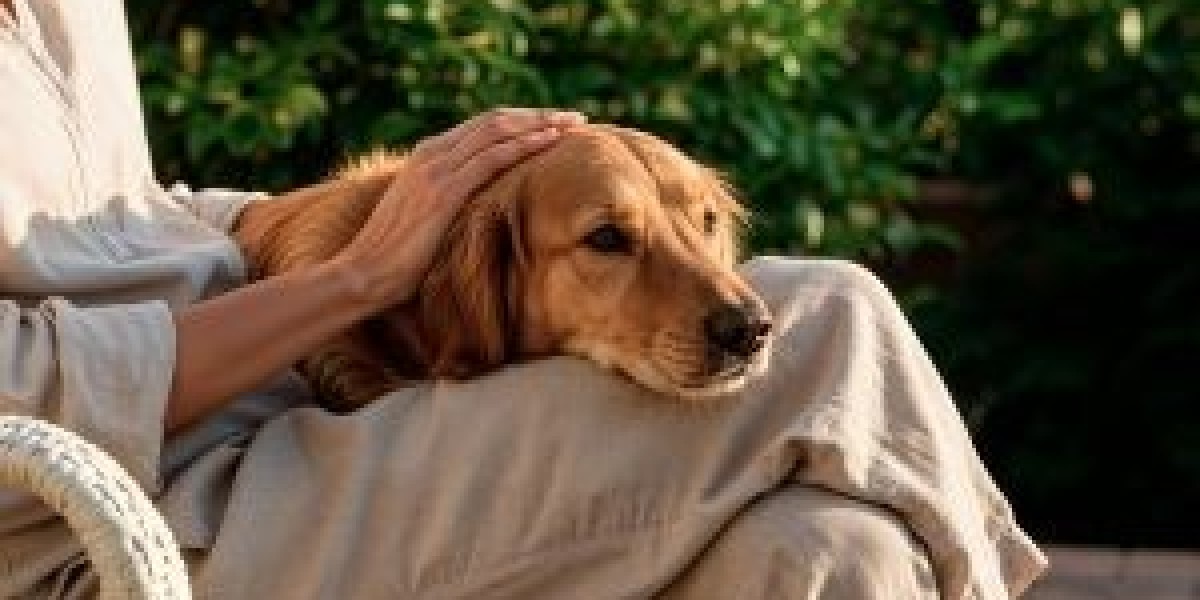 Benefits of Choosing Canine Euthanasia at Home