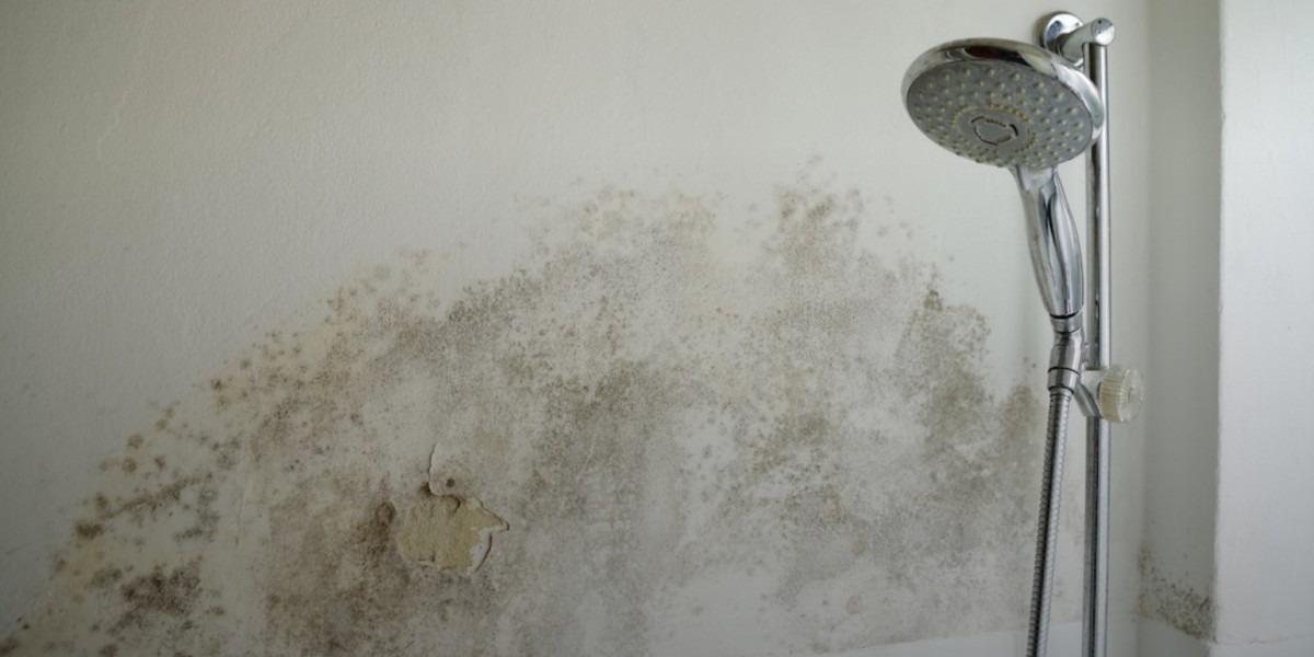 Discover the Best Way to Get Rid of Mold in Shower Areas Permanently